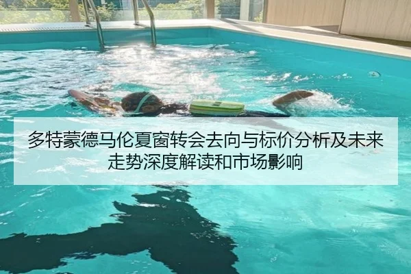 多特蒙德马伦夏窗转会去向与标价分析及未来走势深度解读和市场影响